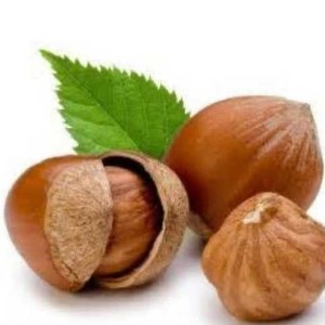 سیروپ فندق